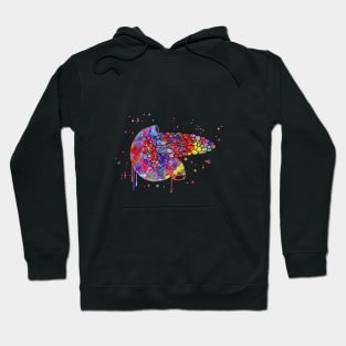 Pancreas Hoodie